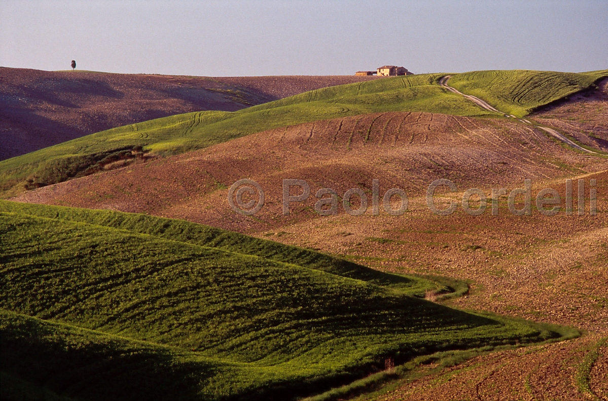 Hills, Tuscany, Italy
 (cod:Tuscany 18)